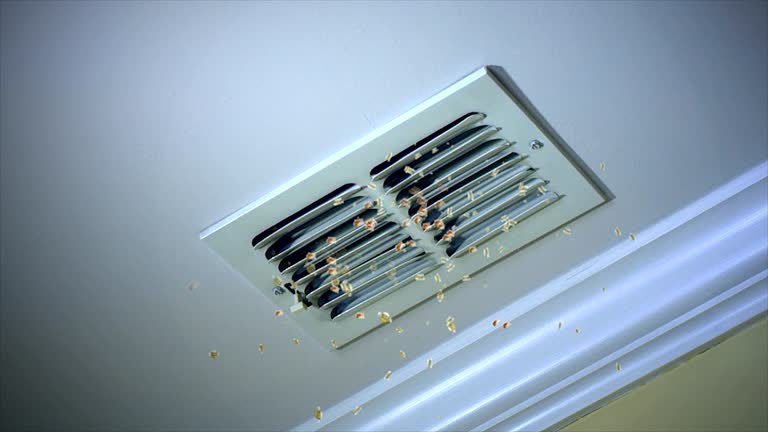 Best Ventilation Cleaning Services  in Morongo Valley, CA